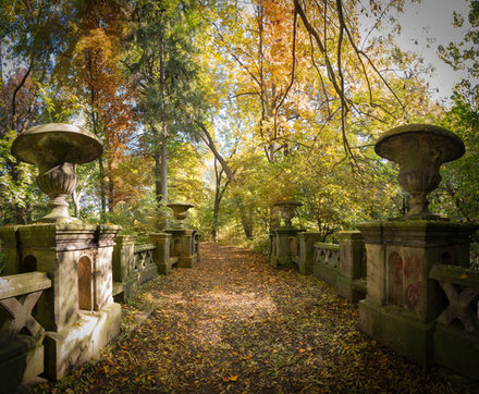 Der Herbst hat viele farbenfrohe Seiten wie das Foto im Schloßpark Ringelheim zeigt.
