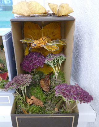 Ein Beispiel für eine gestaltete Naturbox mit einem Schmetterling