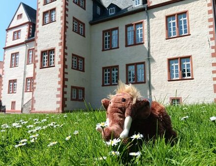 Das Bild zeigt das kleine Plüschmammut, das im Gras vor dem Schloss Salder steht.