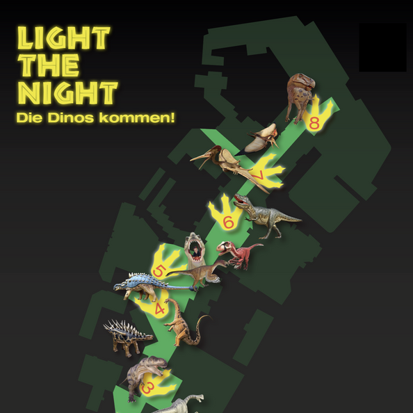 Plakat der Veranstaltung "Light The Night".
