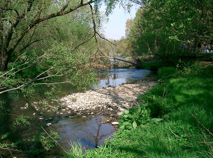 Die Untere Wasserbehörde der Stadt Salzgitter teilt aufgrund der aktuellen Situation mit, dass die Entnahme von Wasser aus Oberflächengewässern im Stadtgebiet ab sofort täglich von 10 Uhr bis 18 Uhr bei einer Temperatur ab 20 Grad Celsius untersagt ist.