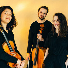 Das Avin Trio ist zu Gast in Salzgitter.