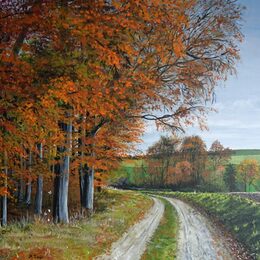 Der Waldweg - ein kleines Paradies.