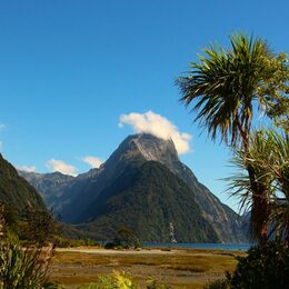 Foto am Milford Sound fotografiert.