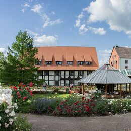 Der Rosengarten in Salzgitter-Bad