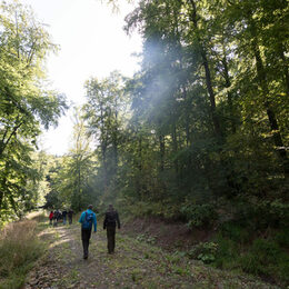 Gemeinsam wandern: Die Hospiz-Initiative-Salzgitter e.V. und der Harzklub laden ein.