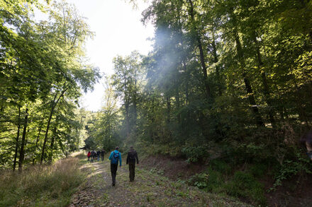 Gemeinsam wandern: Die Hospiz-Initiative-Salzgitter e.V. und der Harzklub laden ein.