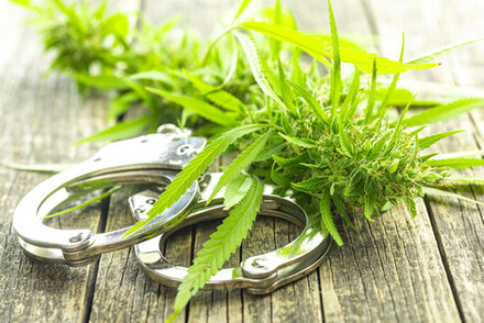 Fragen und Antworten rund um die Cannabislegalisierung stehen im Mittelpunkt des Online-Vortraes.